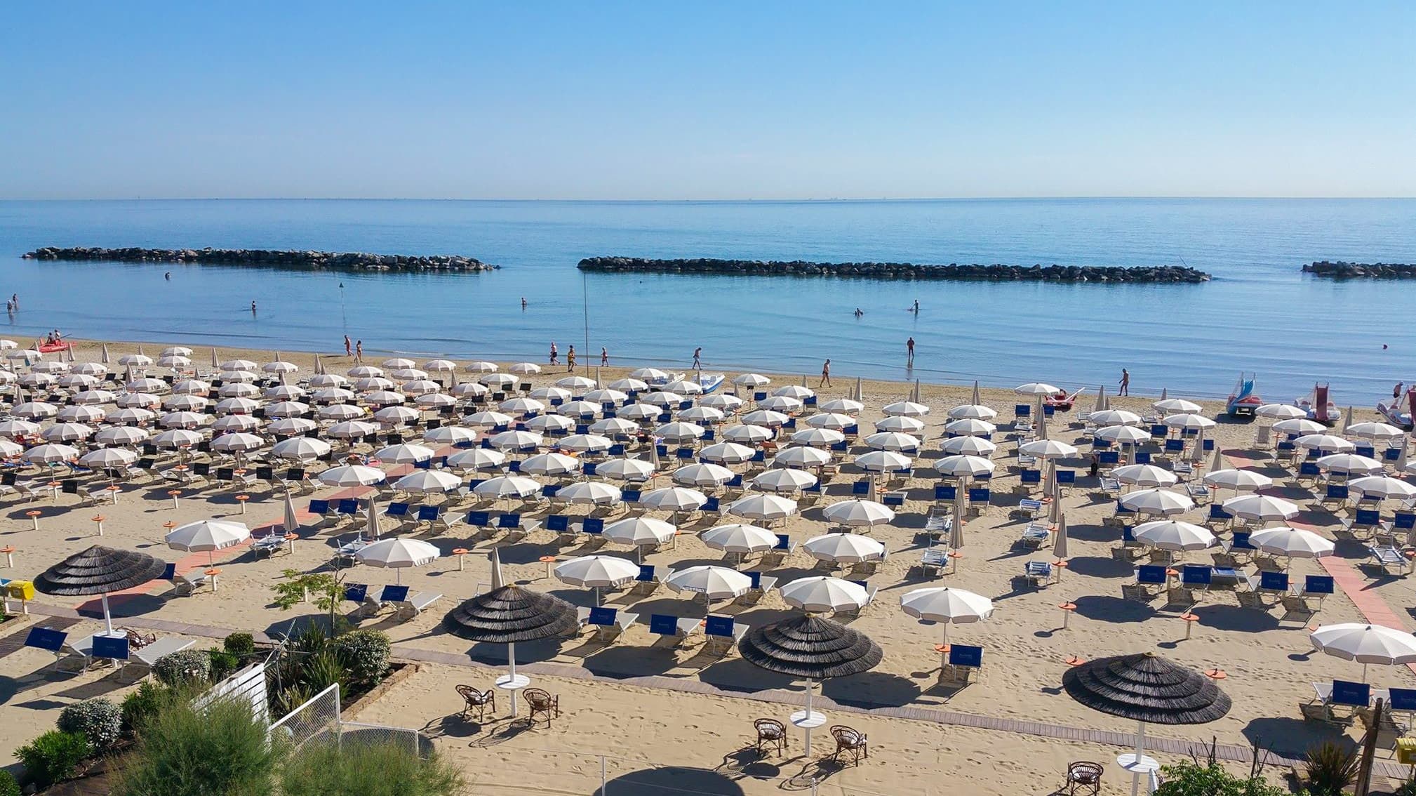 Image Column Section Image 1