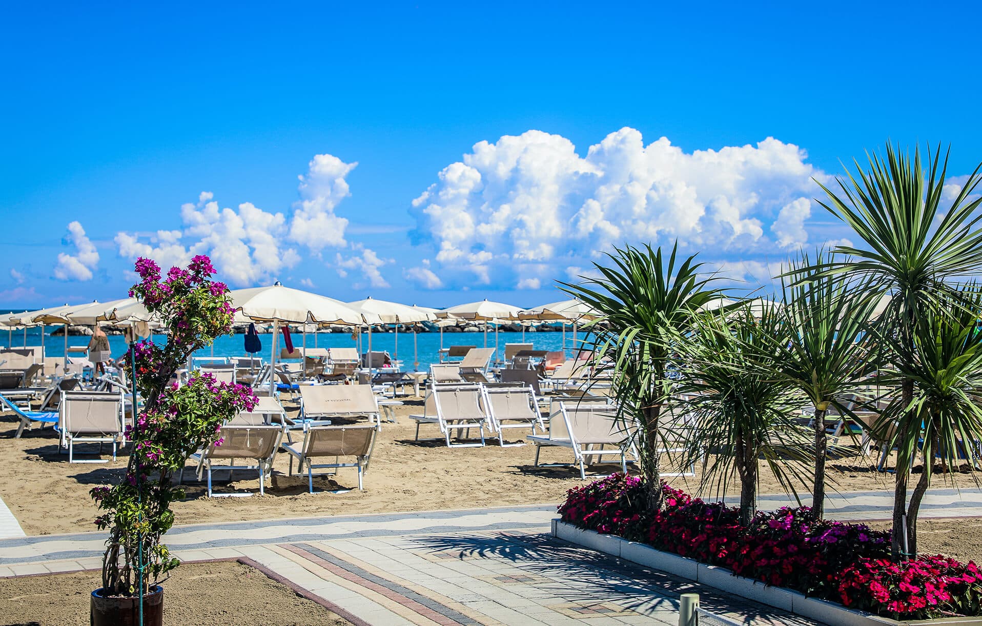 Speciale prenota prima